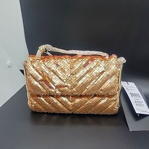 Champagne/ Gold purse